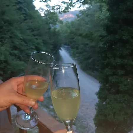 Atmosferdagevisapanca Sicak Havuz Jakuzi Sapanca